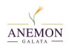 Anemon Hotel Pitti Restaurant